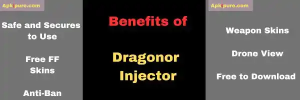 dragonor injector download